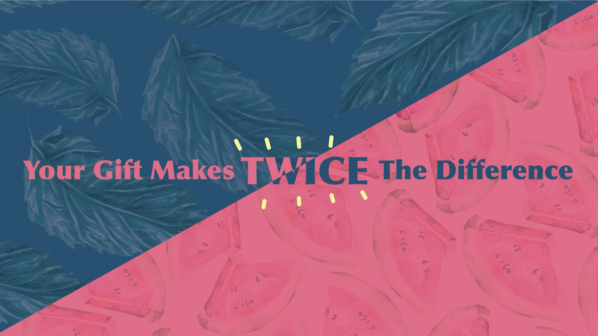 Summer Appeal Animation Still